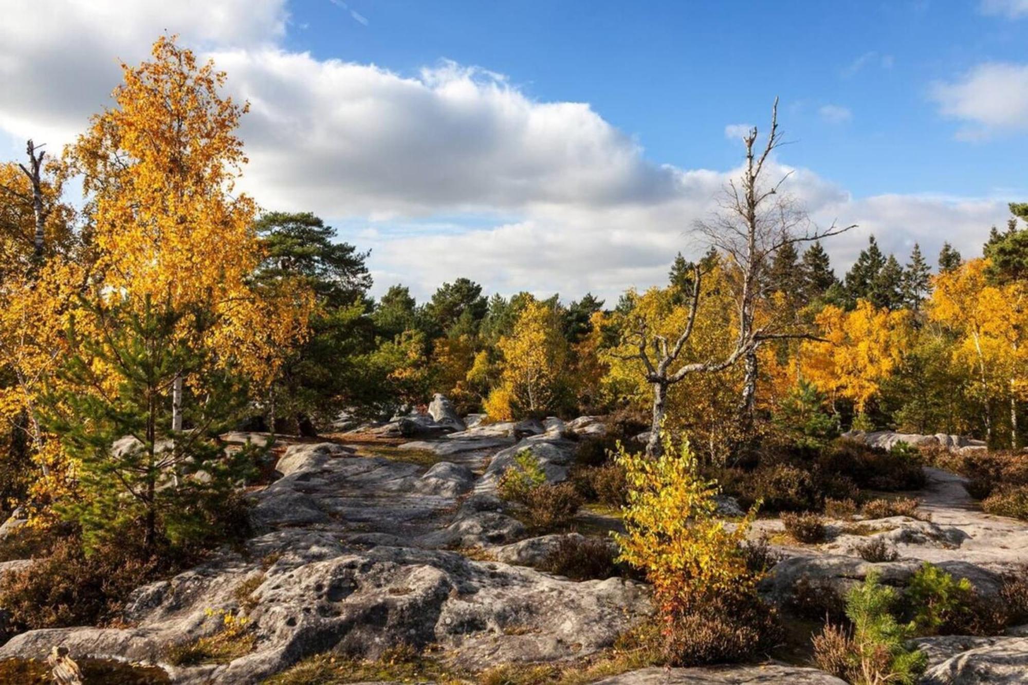 Vue Chateau Fontainebleau - Chez Lydia 외부 사진
